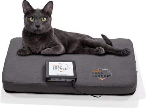 Assisi - LOOP Lounge tPEMF System for Dogs and Cats - Small price history on PriceWatchPro