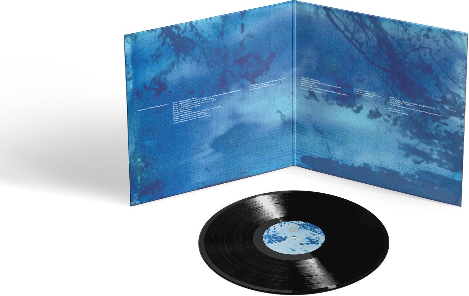 Ed O'Brien Blue Morpho VINYL LP - Best Buy