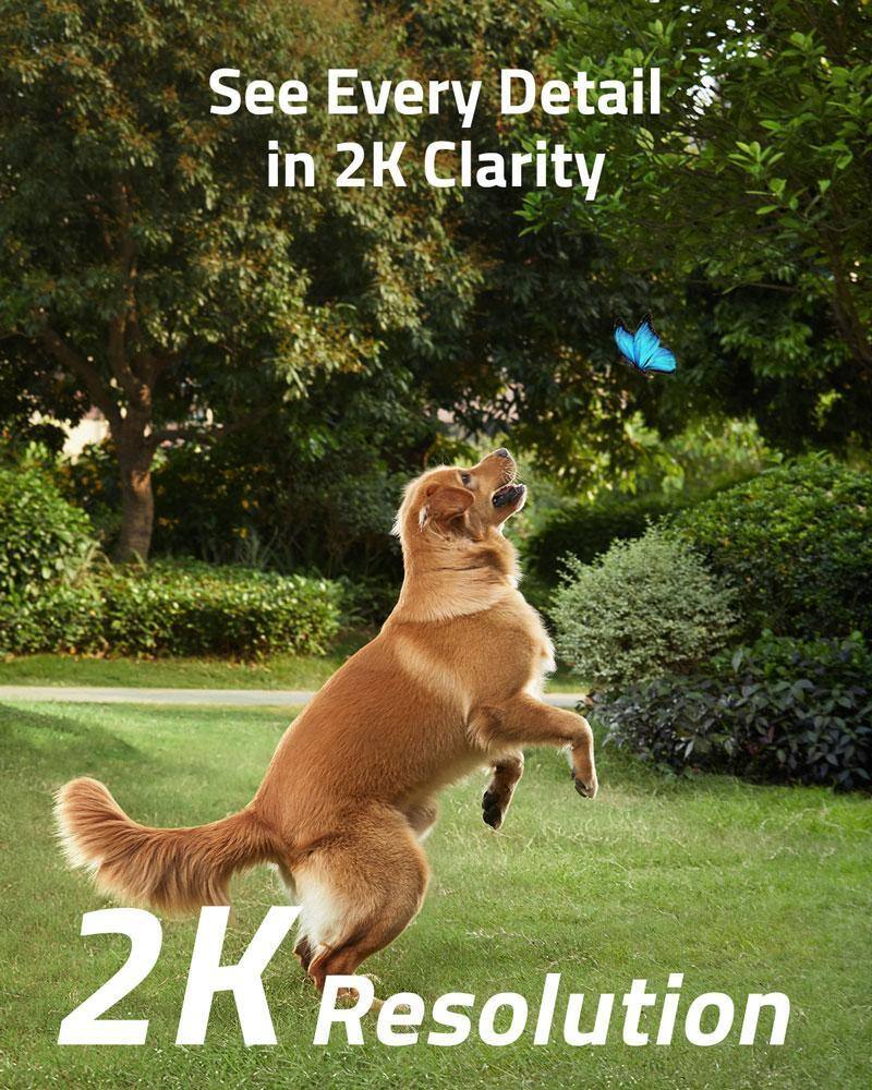 See Every Detail in 2K Clarity  
2K Resolution