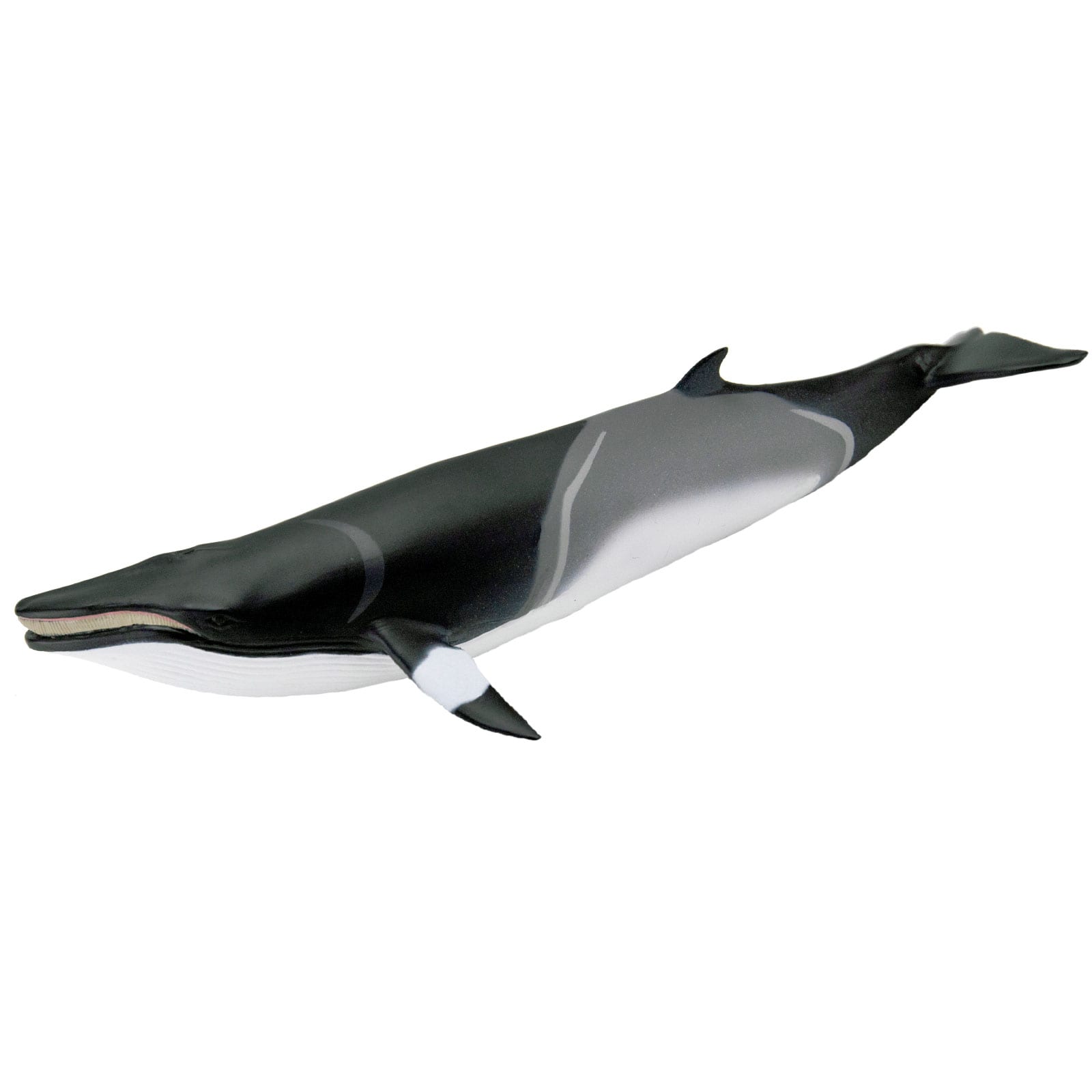 Safari Ltd. - Minke Whale