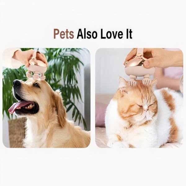 Pets Also Love It