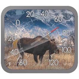 Taylor - Moose Dial Thermometer Plastic Multicolored 14 in.