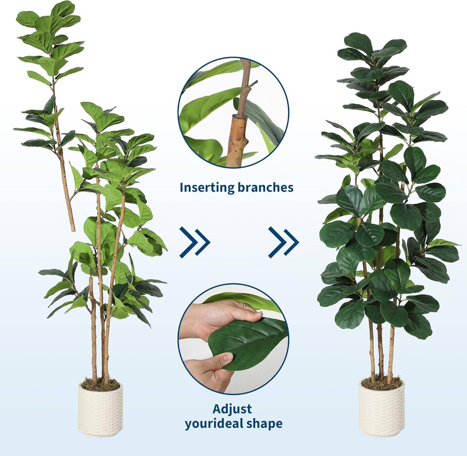 Inserting branches  
Adjust your ideal shape