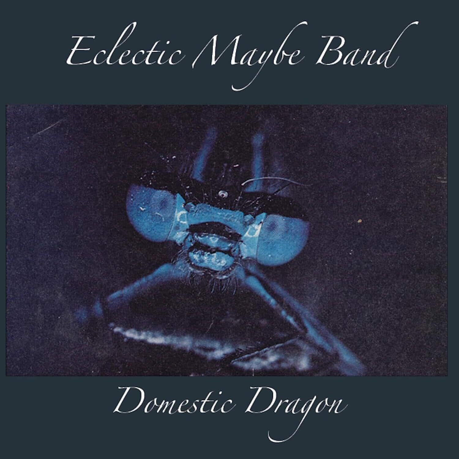 Eclectic Maybe Band - Domestic Dragon   - COMPACT DISCS [CD]