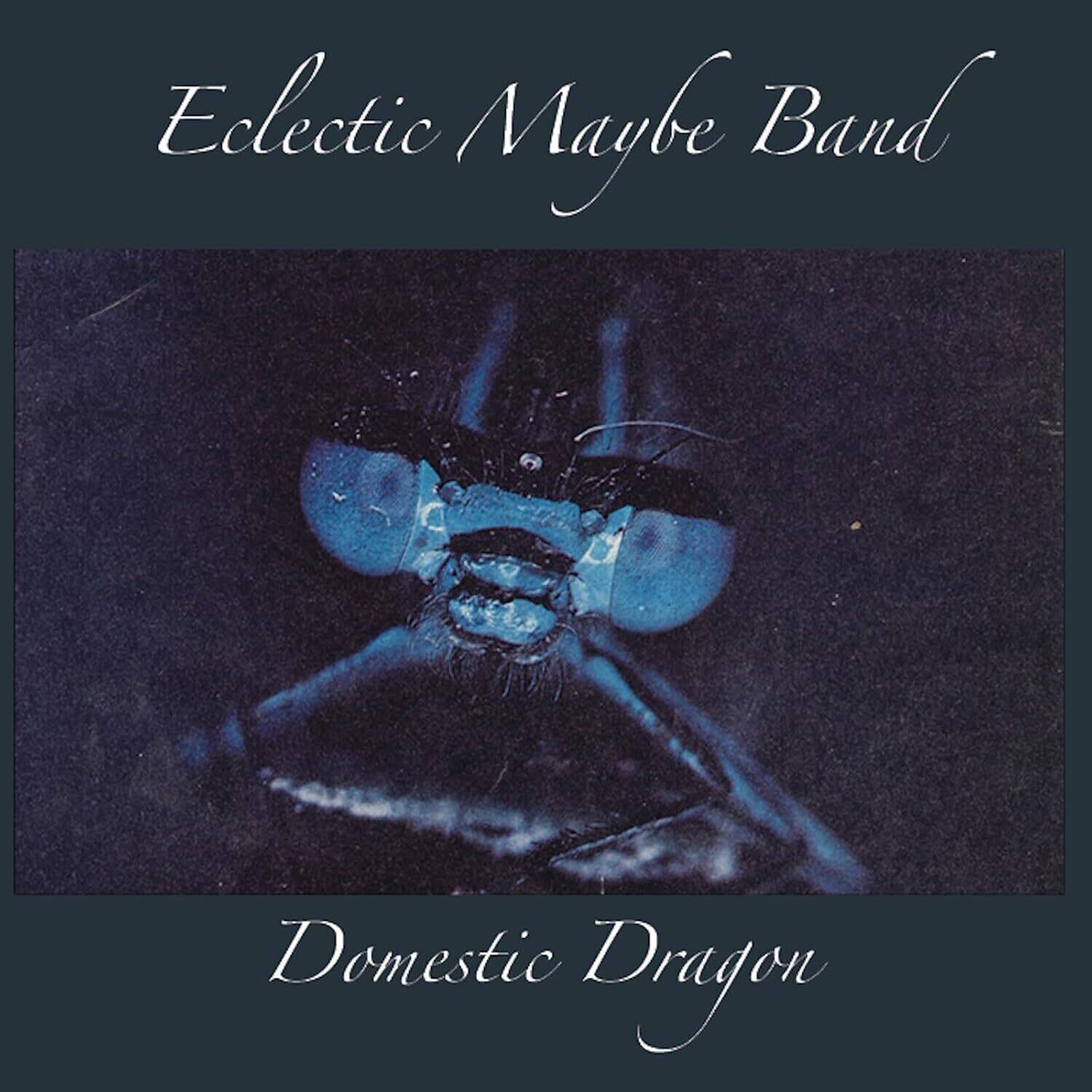 Eclectic Maybe Band  
Domestic Dragon
