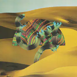 Django Django - Django Django - VINYL LP
