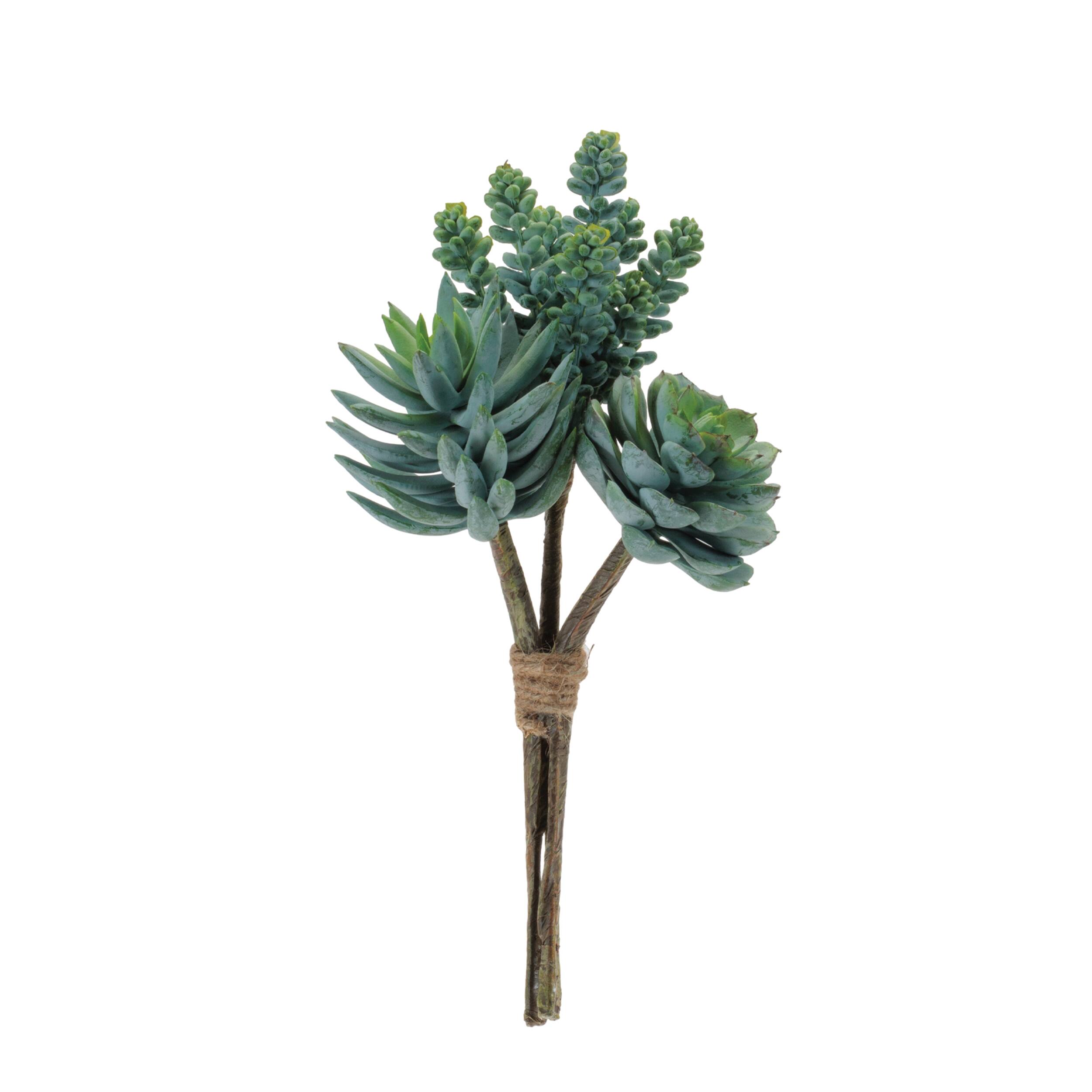 Back. BreeBe - Succulent Bundle (Set of 6) - Green.