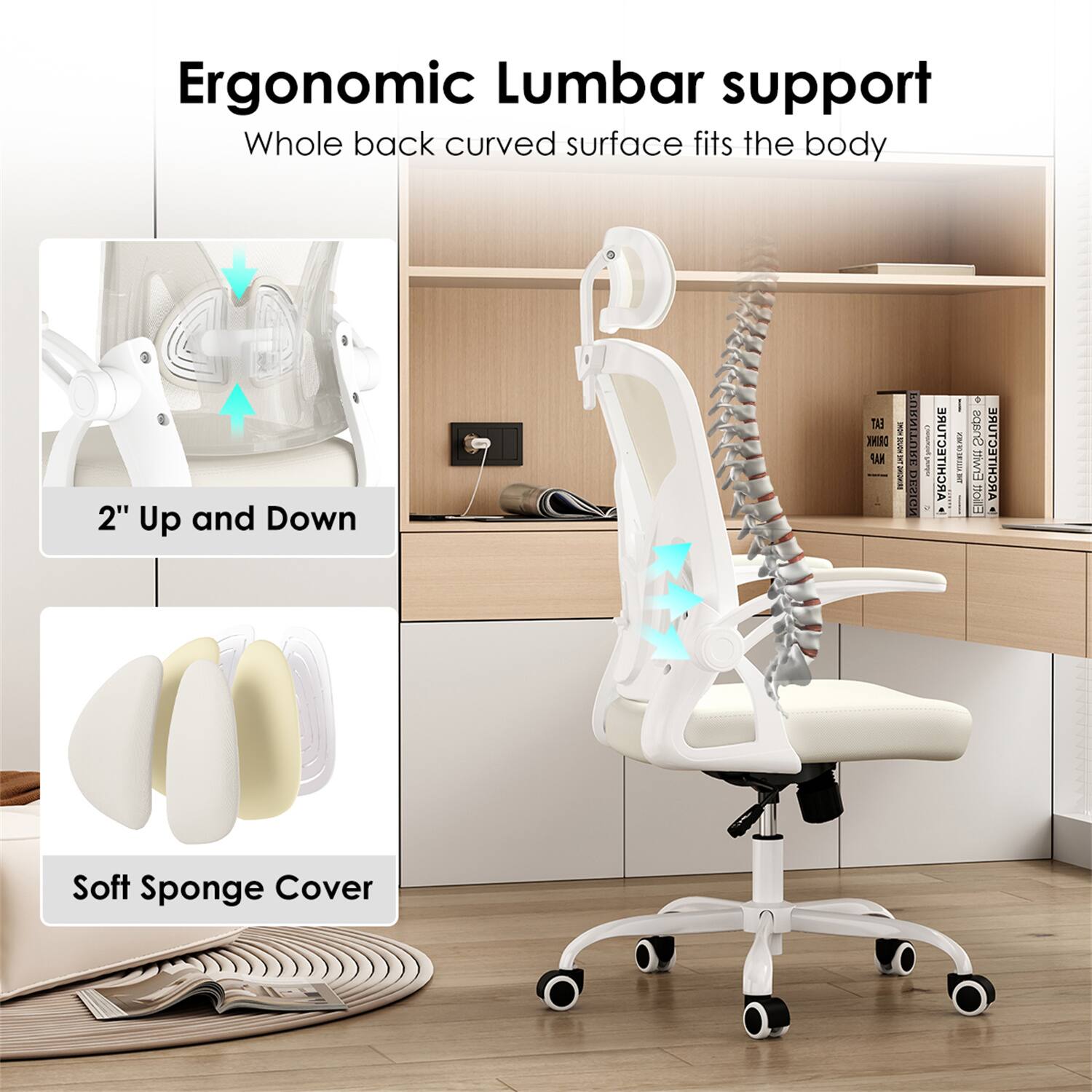 Ergonomic Lumbar support  
Whole back curved surface fits the body  

2" Up and Down  

Soft Sponge Cover