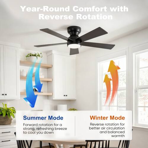 Year-Round Comfort with Reverse Rotation

Summer Mode
Forward rotation for a strong, refreshing breeze to cool you down

Winter Mode
Reverse rotation for better air circulation and balanced warmth