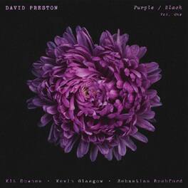 David Preston - Purple / Black Vol.1 - VINYL LP