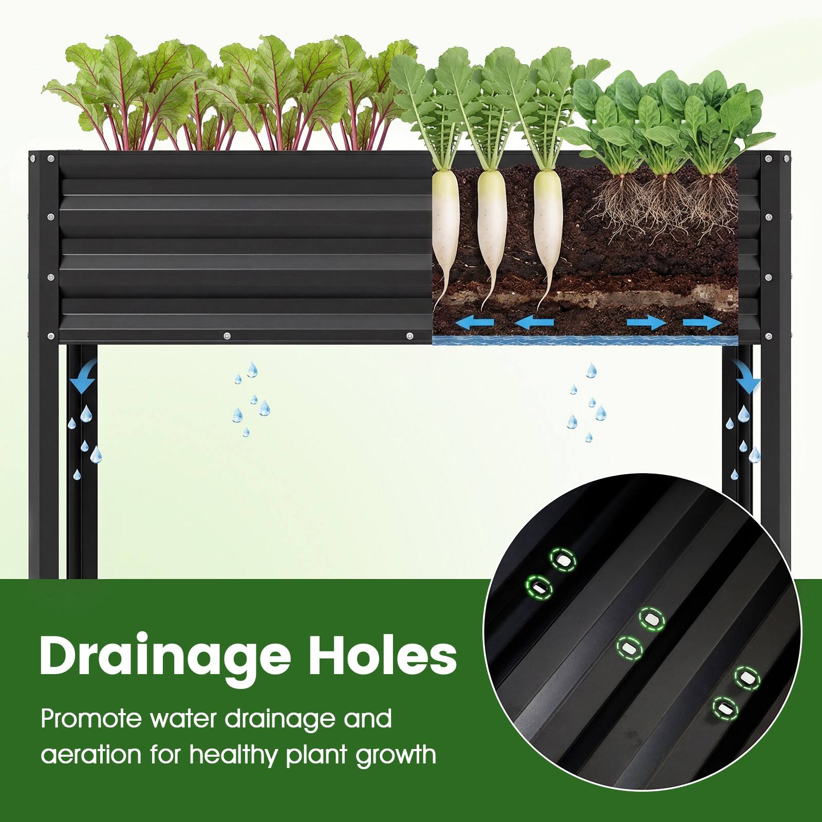 Drainage Holes

Promote water drainage and aeration for healthy plant growth