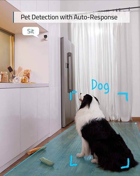 Pet Detection with Auto-Response  
Sit  
Dog