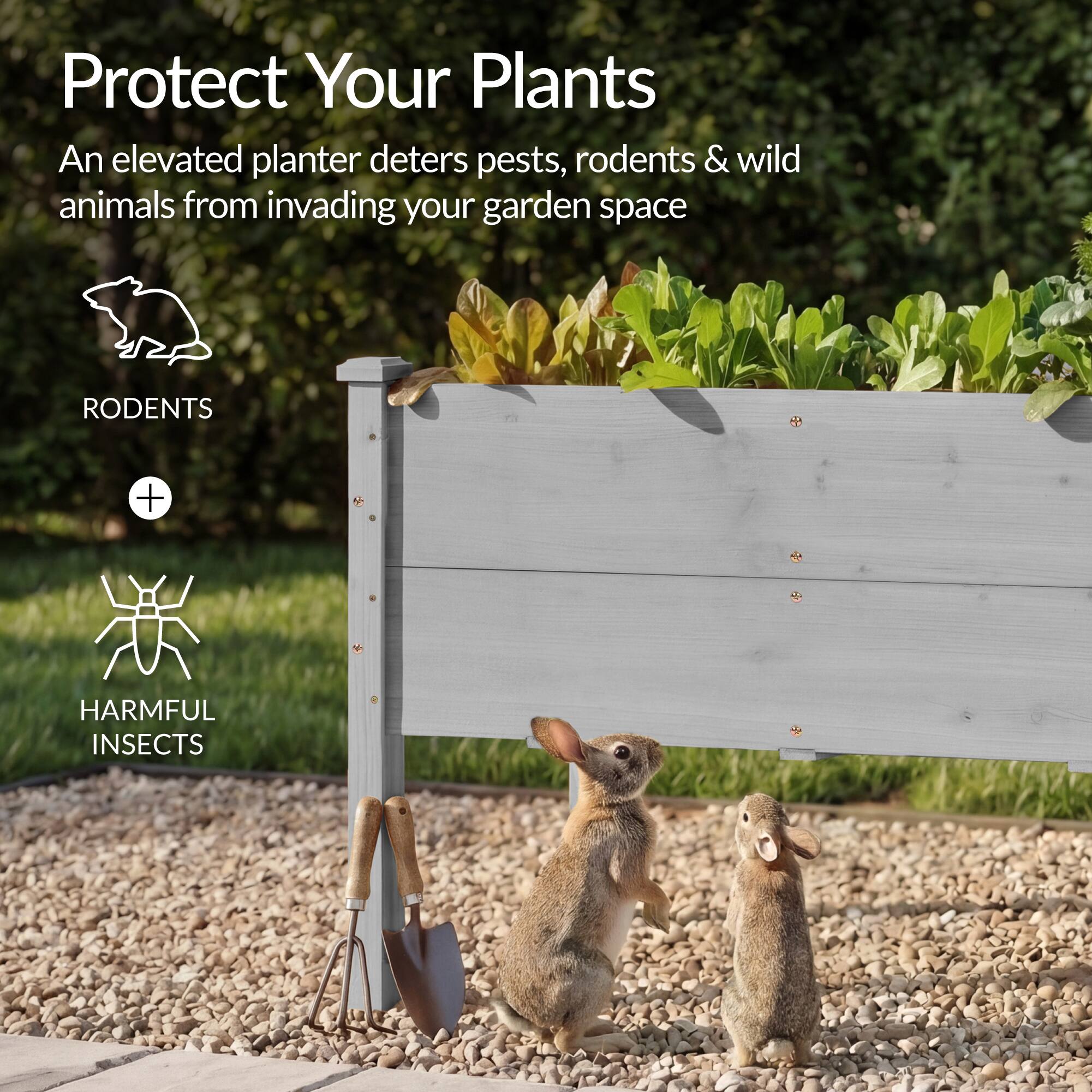 Protect Your Plants

An elevated planter deters pests, rodents & wild animals from invading your garden space

RODENTS

HARMFUL INSECTS