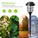 IP65 Waterproof
Withstand bad weather
can be used outdoors all year round.