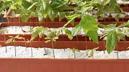 Alt View 2. GROW!T - GROW!T Super Coarse #2 Perlite for Hydroponic Greenhouses Gardens 4 Cubic Feet - Brown.