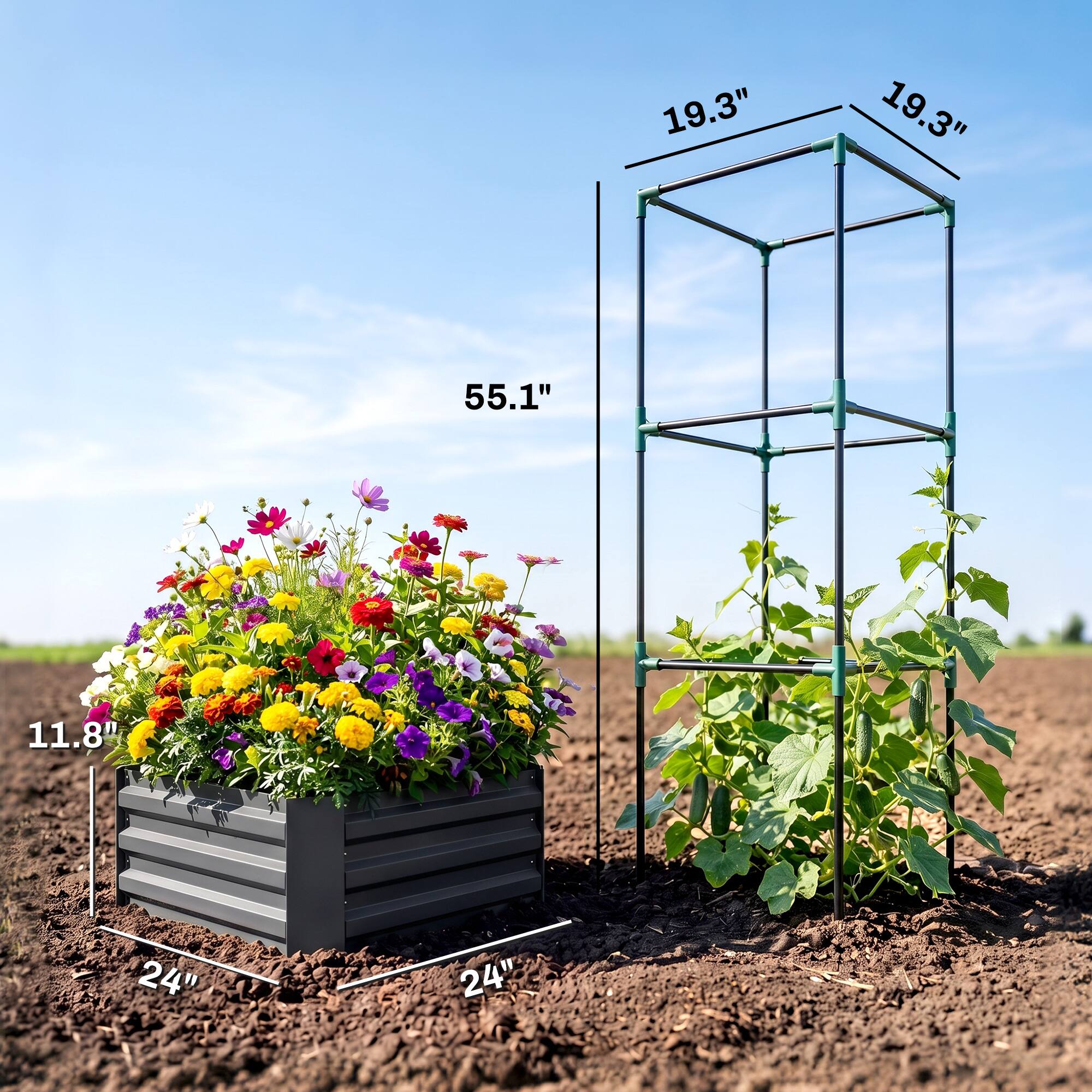 19.3"  
19.3"  
55.1"  
11.8"  
24"  
24"
