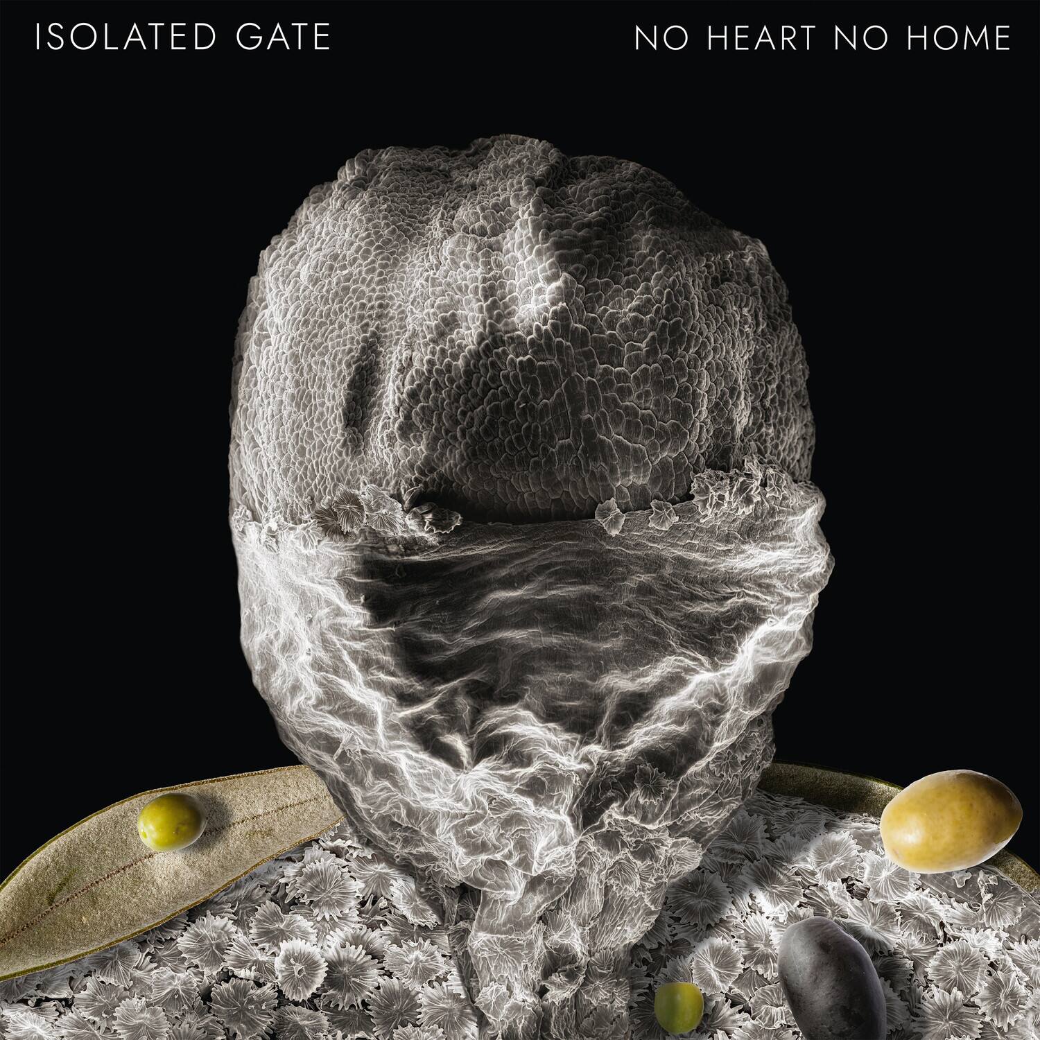 Isolated Gate No Heart No Home 12 INCH SINGLE [12 inch Vinyl Single ...