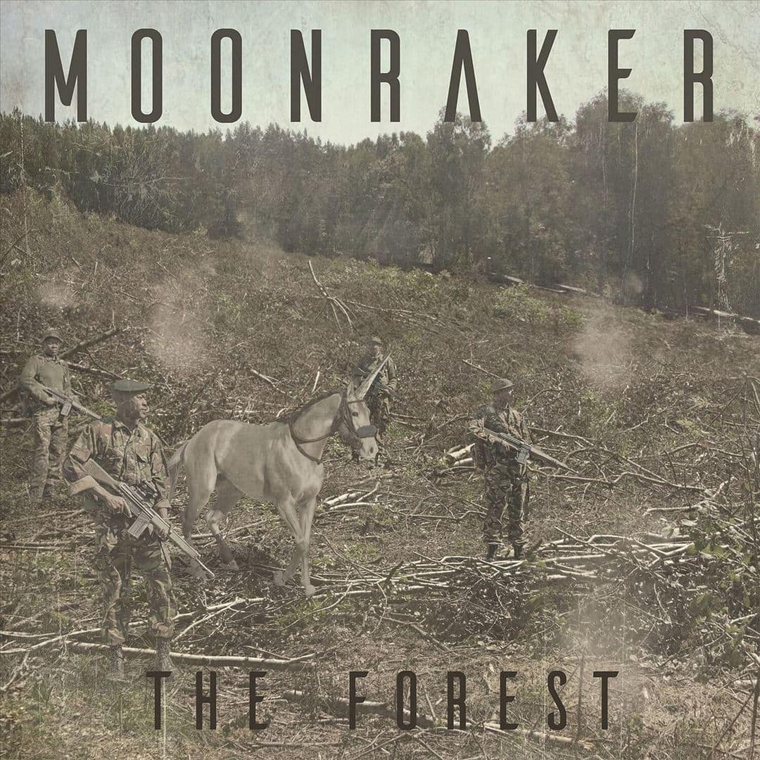 Forest [LP] [VINYL]