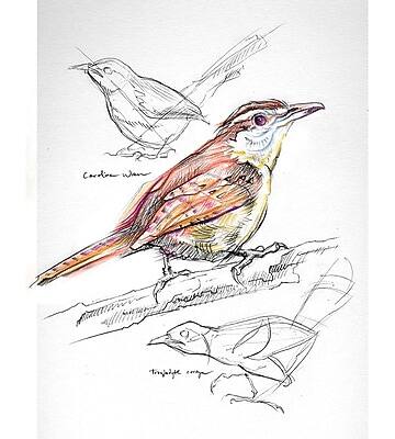 Alt View 1. Pacon - Pacon Art1st 9" x 12" Spiral Bound Sketch Book, 30 Sheets/Book (103207) - White.