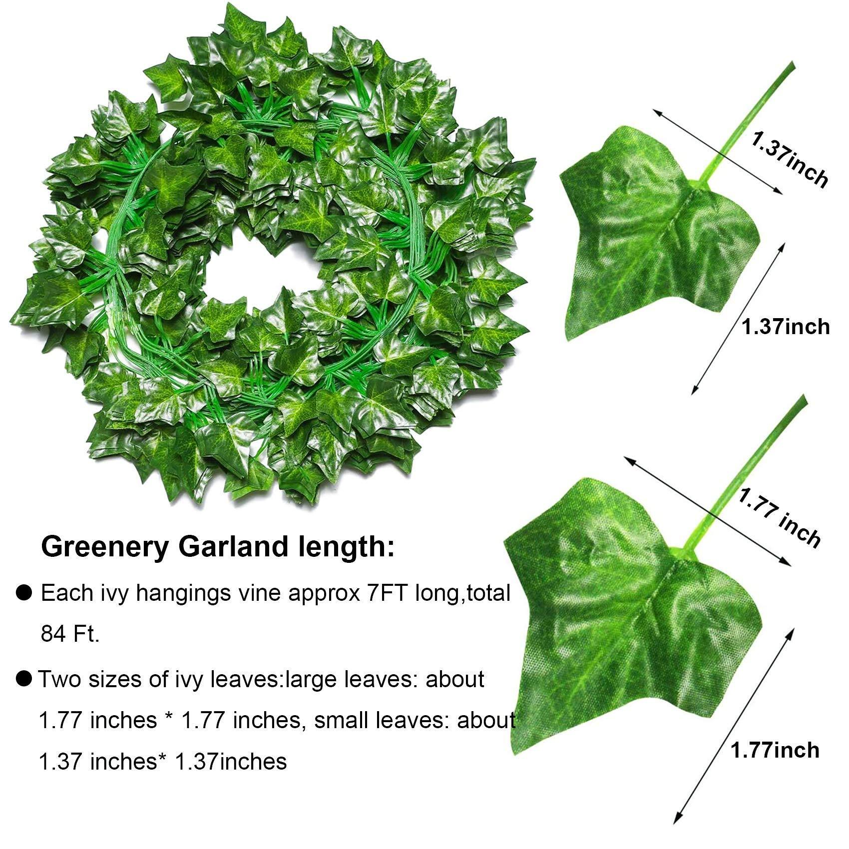 Greenery Garland length:
- Each ivy hanging vine is approximately 7FT long, totaling 84 FT.
- Two sizes of ivy leaves: large leaves are about 1.77 inches * 1.77 inches, and small leaves are about 1.37 inches * 1.37 inches.