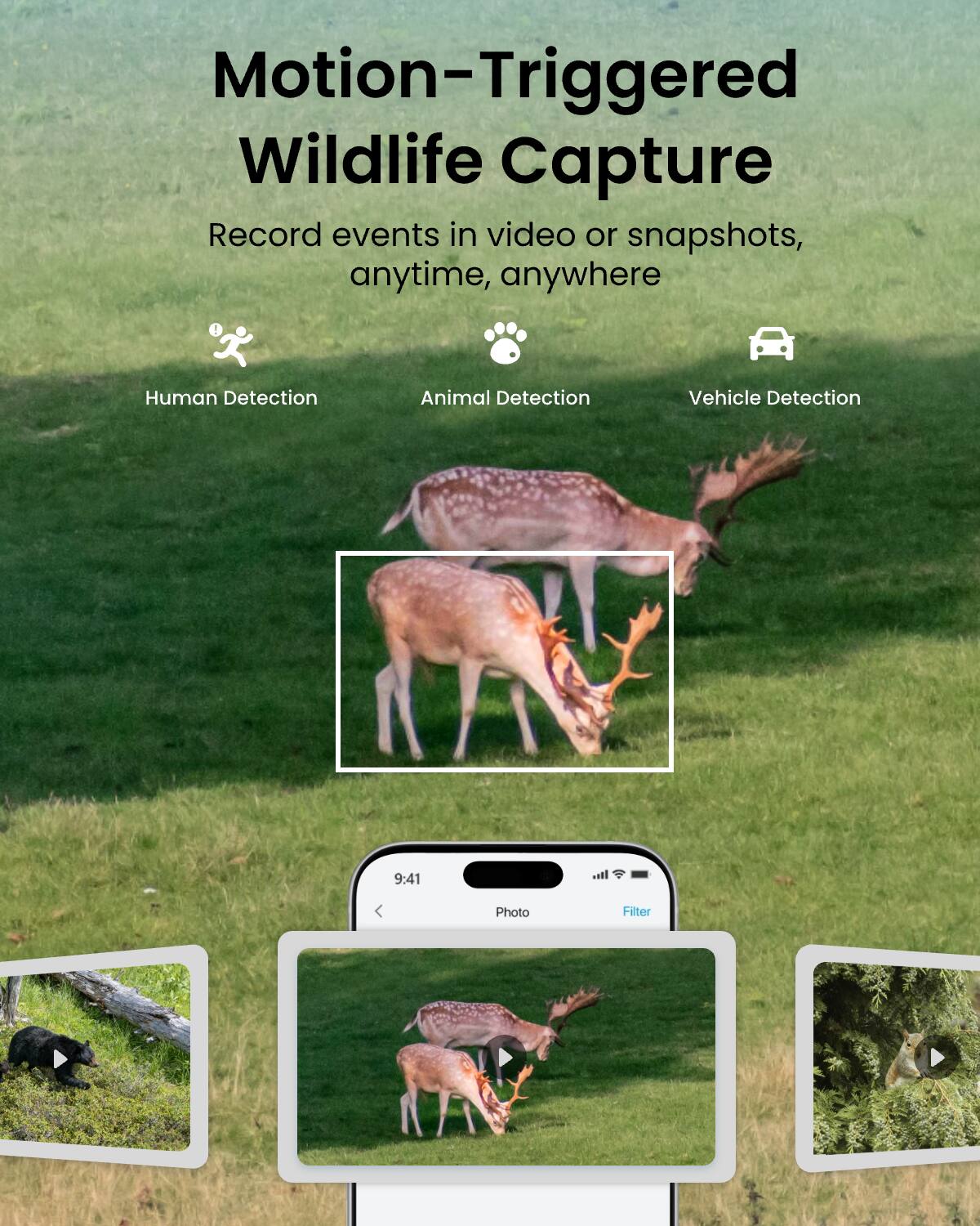 Motion-Triggered Wildlife Capture  
Record events in video or snapshots, anytime, anywhere  

Human Detection  
Animal Detection  
Vehicle Detection  

9:41  
Photo  
Filter