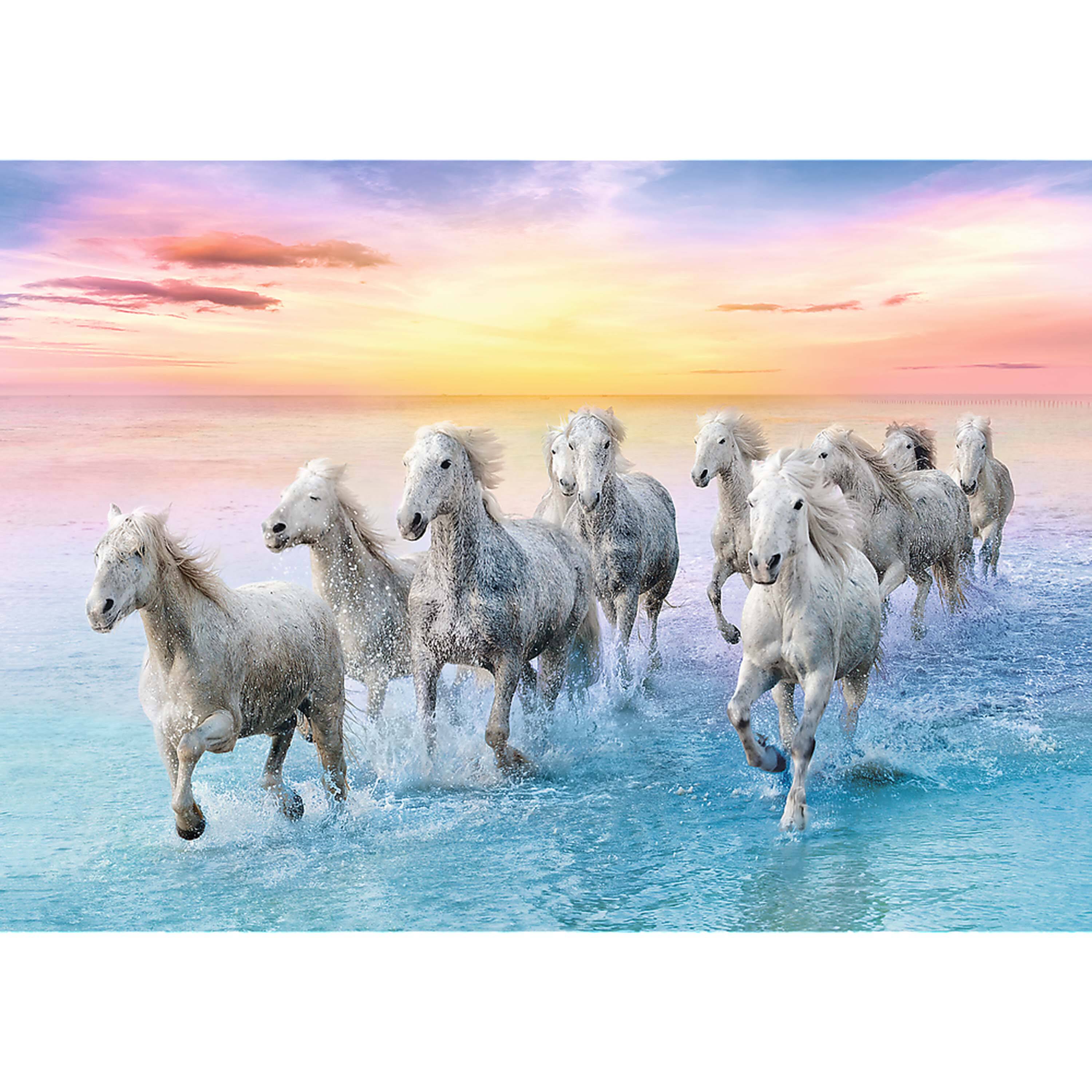 Angle. Trefl - Trefl Red 500 Piece Puzzle - Galloping white horses.