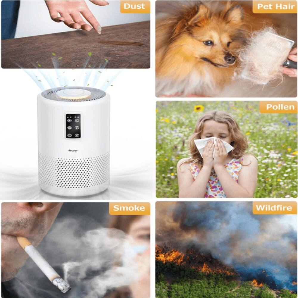 Dust Pet Hair Pollen Smoke Wildfire