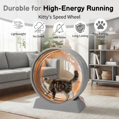 Durable for High-Energy Running  
Kitty's Speed Wheel  
Lightweight  
No Smell  
Low Noise  
Long-Lasting  
Paw-friendly Carpet