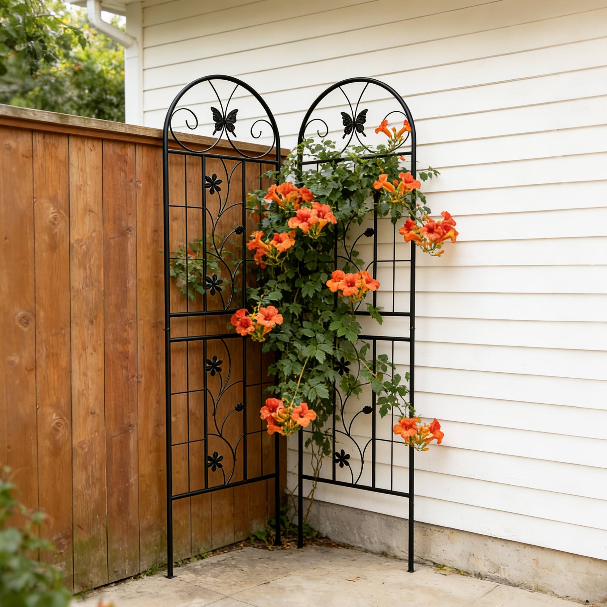 Angle. Loheer - Rustproof Metal Garden Trellis Set 5.9 ft x 1.6 ft 2 Pack Climbing Plant Support - Black.