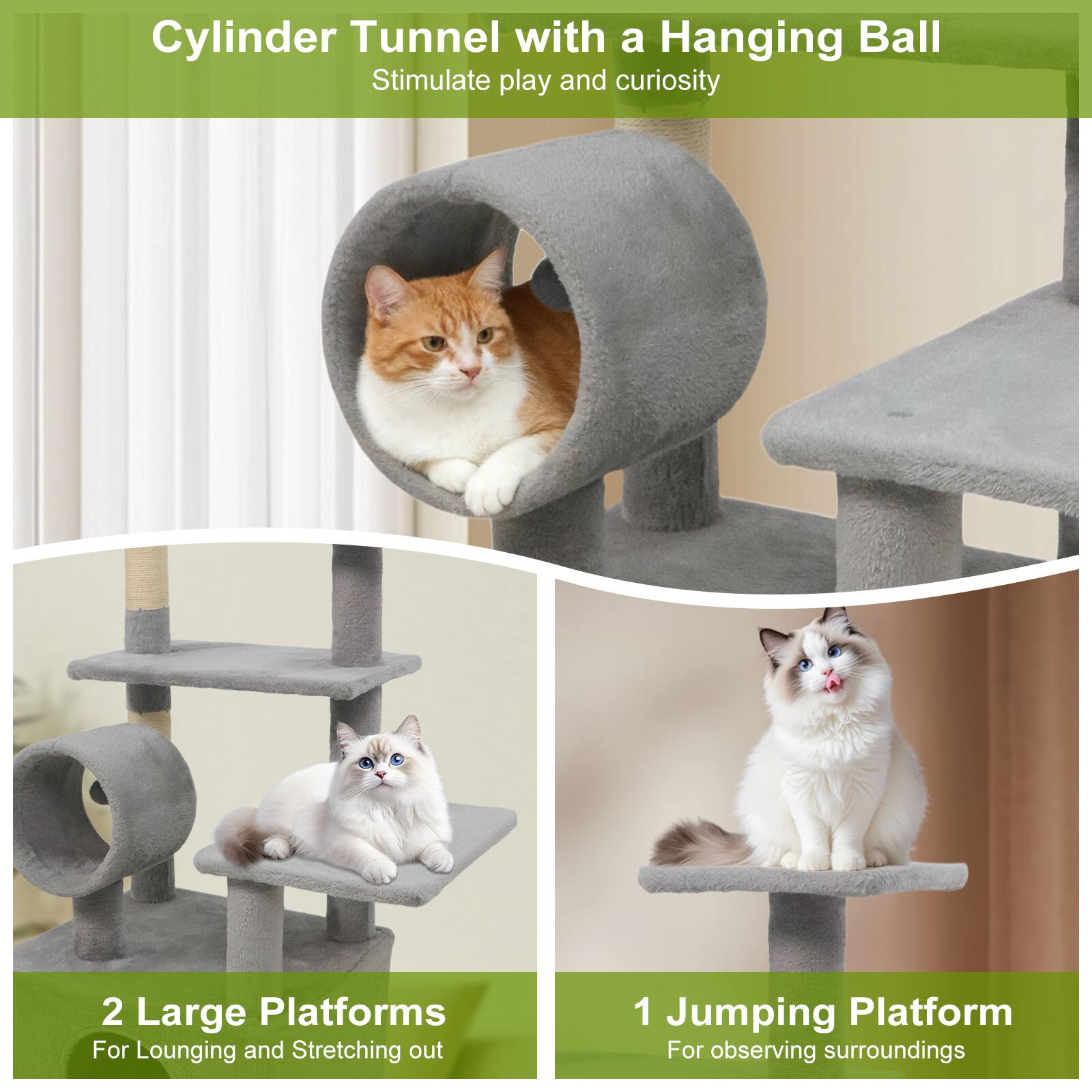 Cylinder Tunnel with a Hanging Ball  
Stimulate play and curiosity  

2 Large Platforms  
For Lounging and Stretching out  

1 Jumping Platform  
For observing surroundings