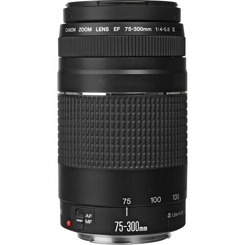 CANON ZOOM LENS EF 75-300mm 1:4-5.6 AF MF

75 100 135

75-300mm

1:5.6