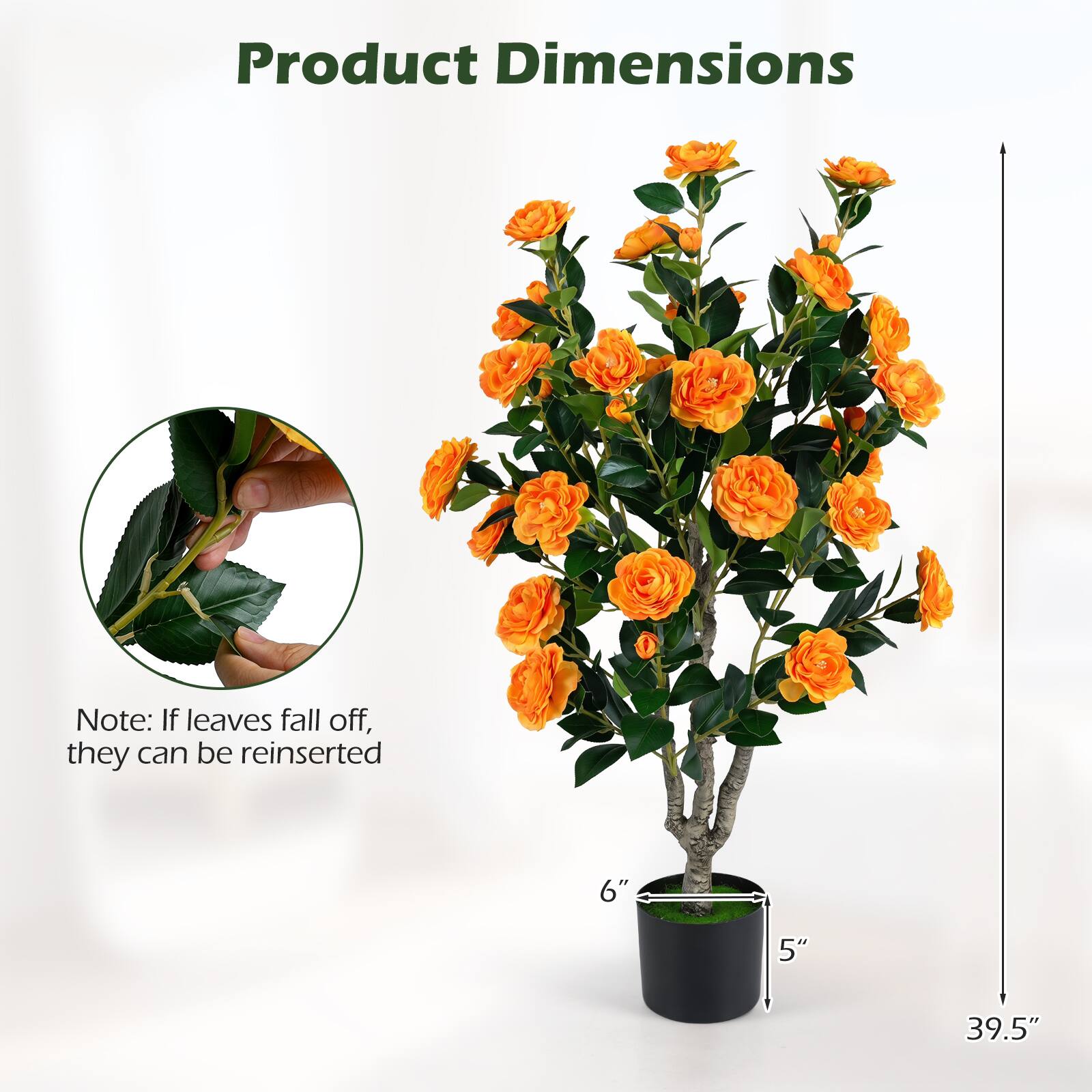 Product Dimensions

Note: If leaves fall off, they can be reinserted

6" 5" 39.5"