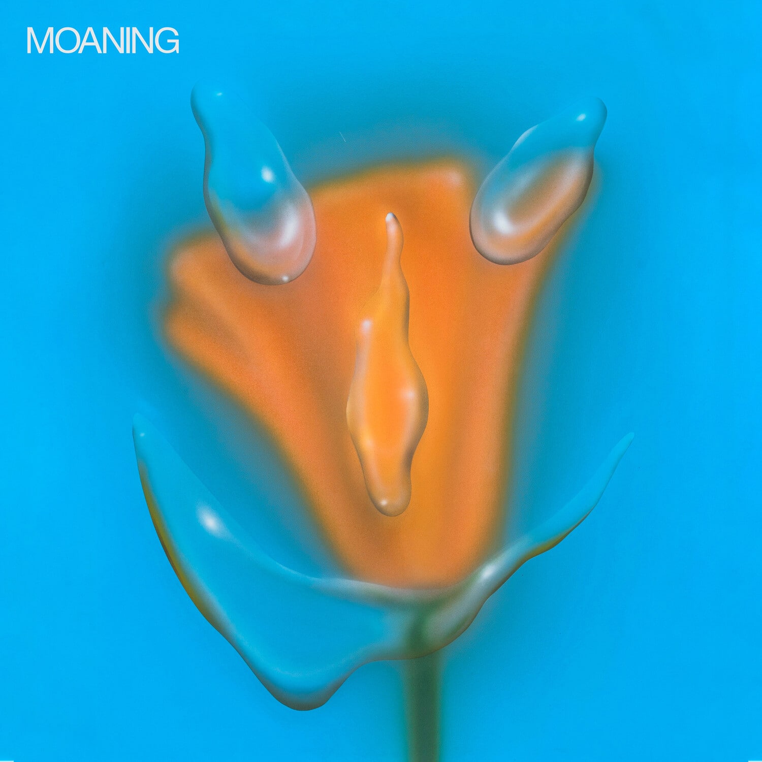 The Moaning - Uneasy Laughter   - COMPACT DISCS [CD] price history on PriceWatchPro