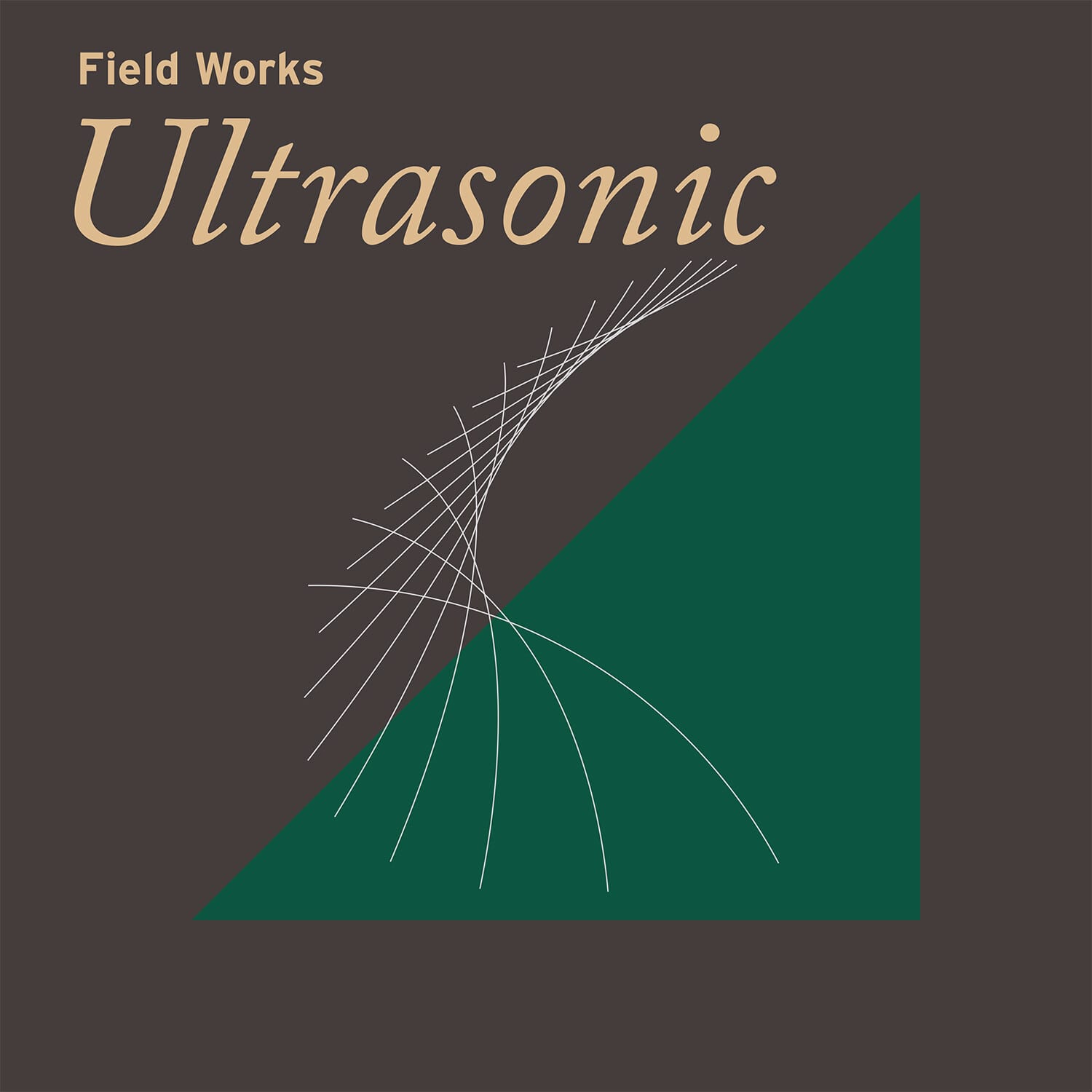 Various - Field Works: Ultrasonic / Various  - COMPACT DISCS