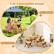 2-in-1 Convertible Design
Picnic Table Set
Study Table Set