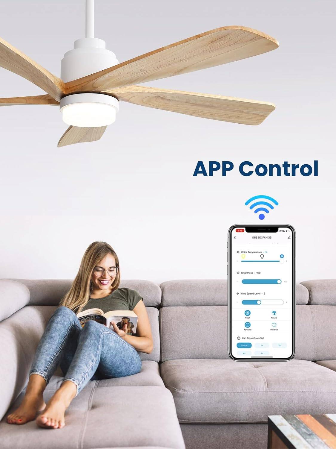 APP Control

- Color Temperature
- Brightness
- Wind Speed Level
- Fan Countdown Set