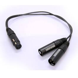 Whirlwind - 1.5' XLR Female to 2 XLR Male Y Adapter Cable