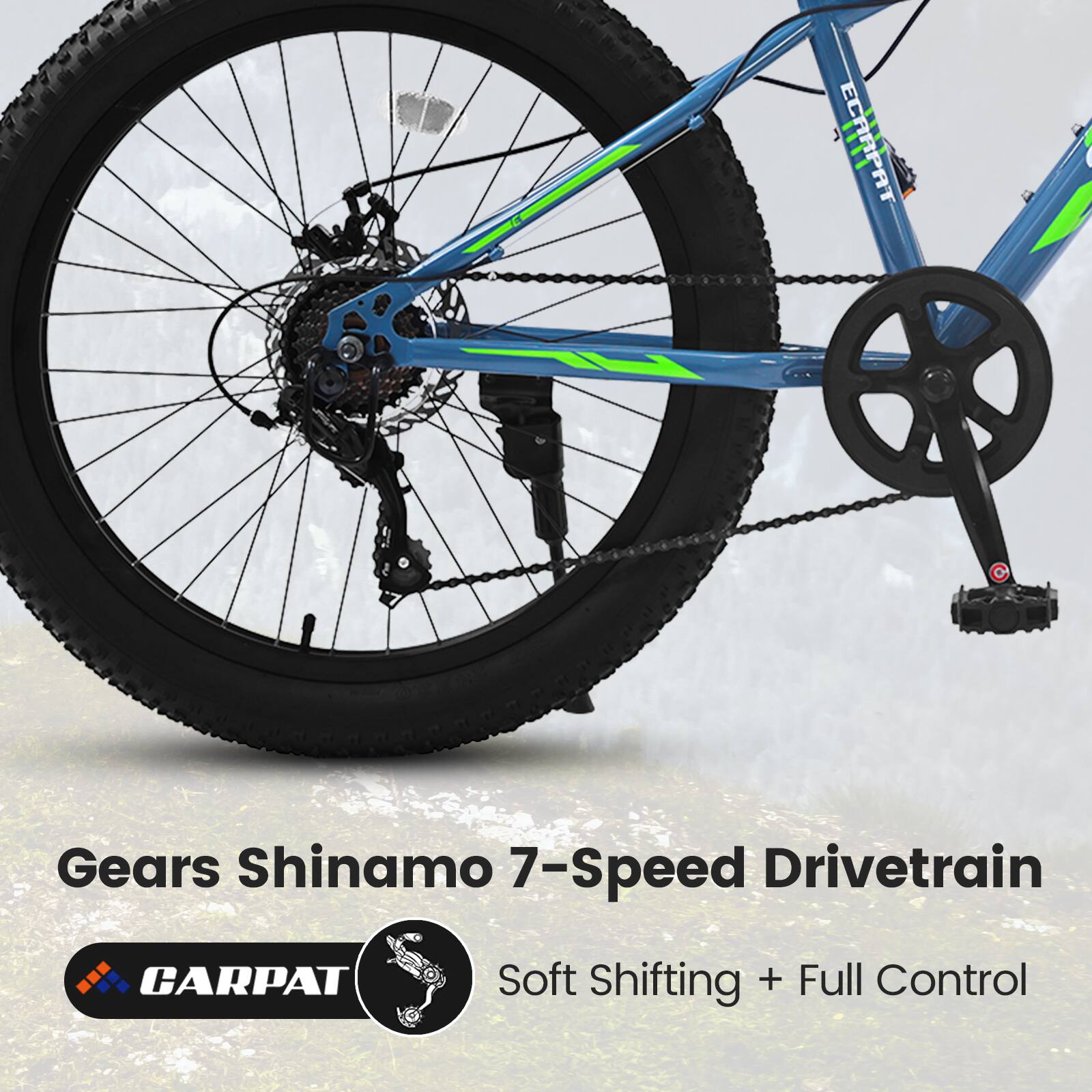Gears Shinamo 7-Speed Drivetrain  
CARPAT Soft Shifting + Full Control