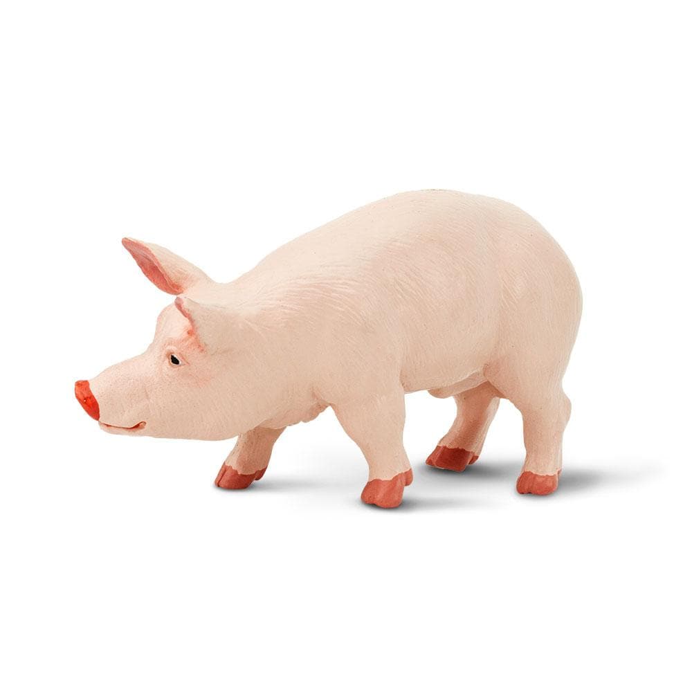 Alt View 3. Safari Ltd. - Boar Toy Figurine.