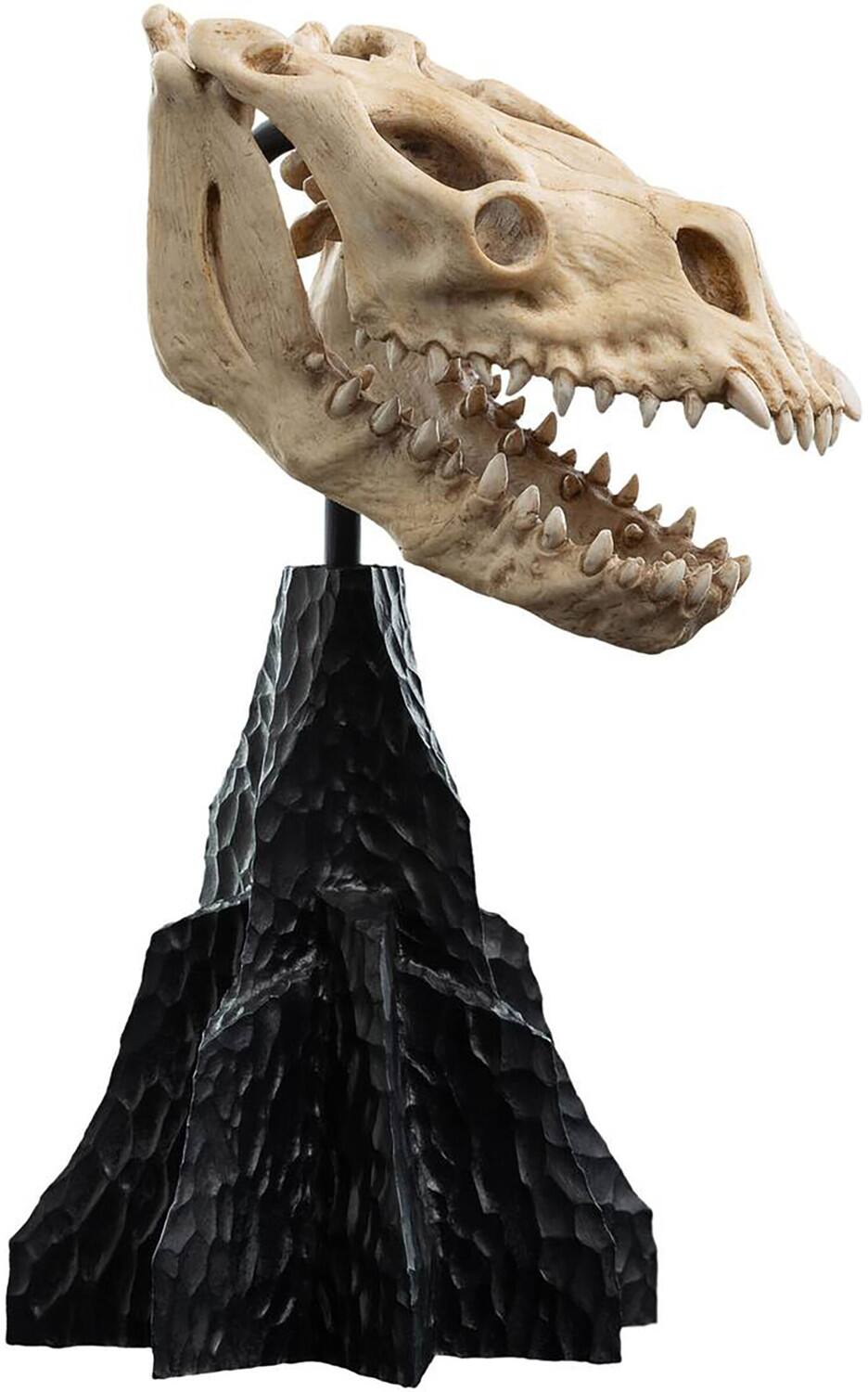 Alt View 2. Weta Workshop - WETA Workshop Polystone - The Lord of the Rings Trilogy - Skull of a Fell Beast Polystone Statue   - COLLECTIBLES - Multicolor.