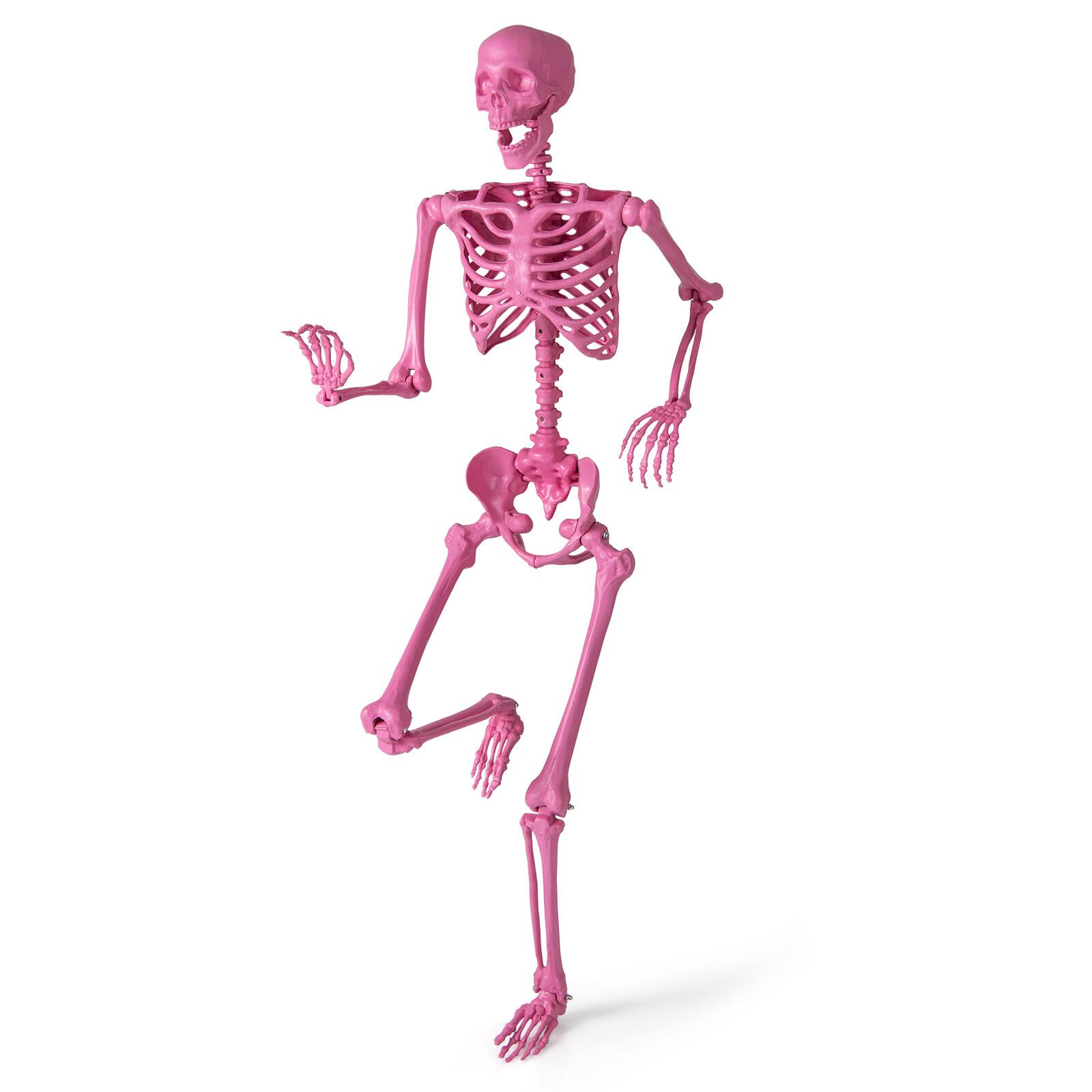 Alt View 9. Costway - Costway 5.5 FT Poseable Halloween Skeleton Life-Size Decoration with Movable Joints - Pink.