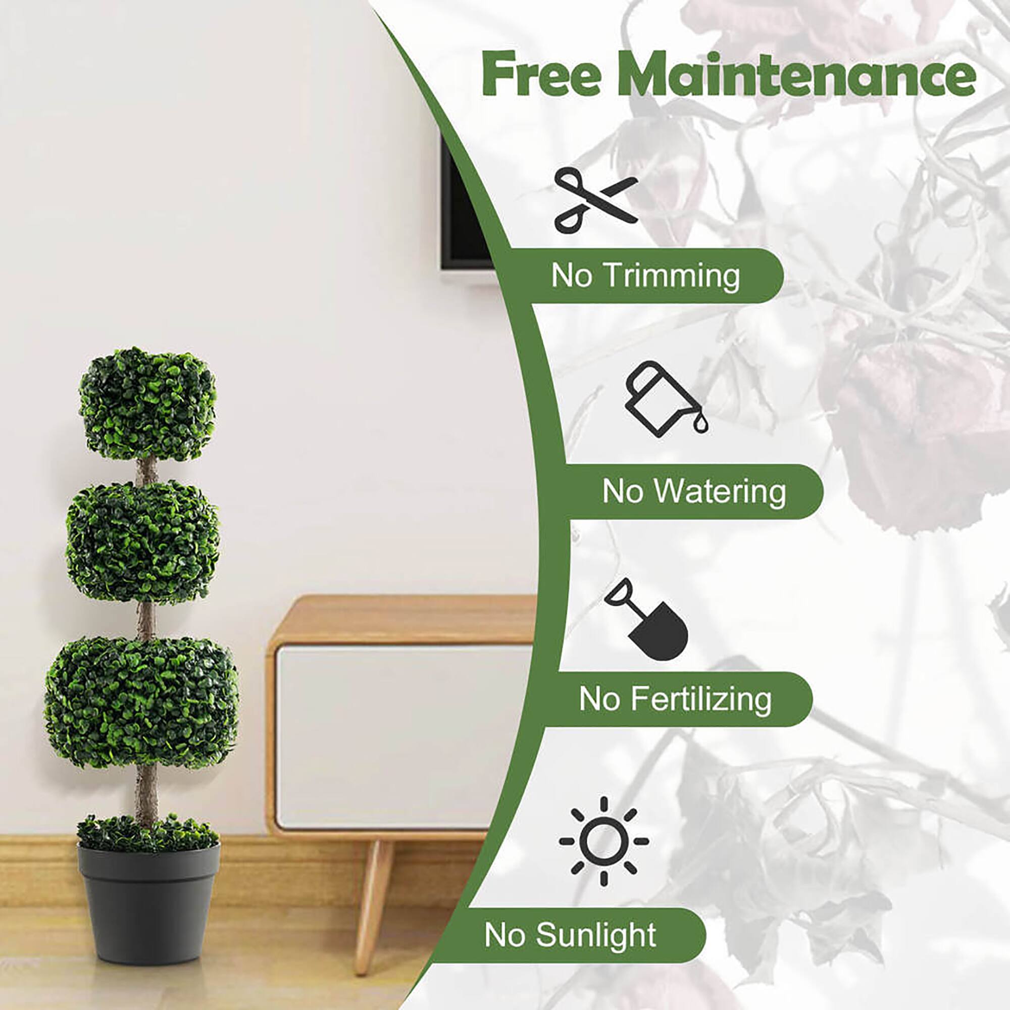 Free Maintenance

- No Trimming
- No Watering
- No Fertilizing
- No Sunlight