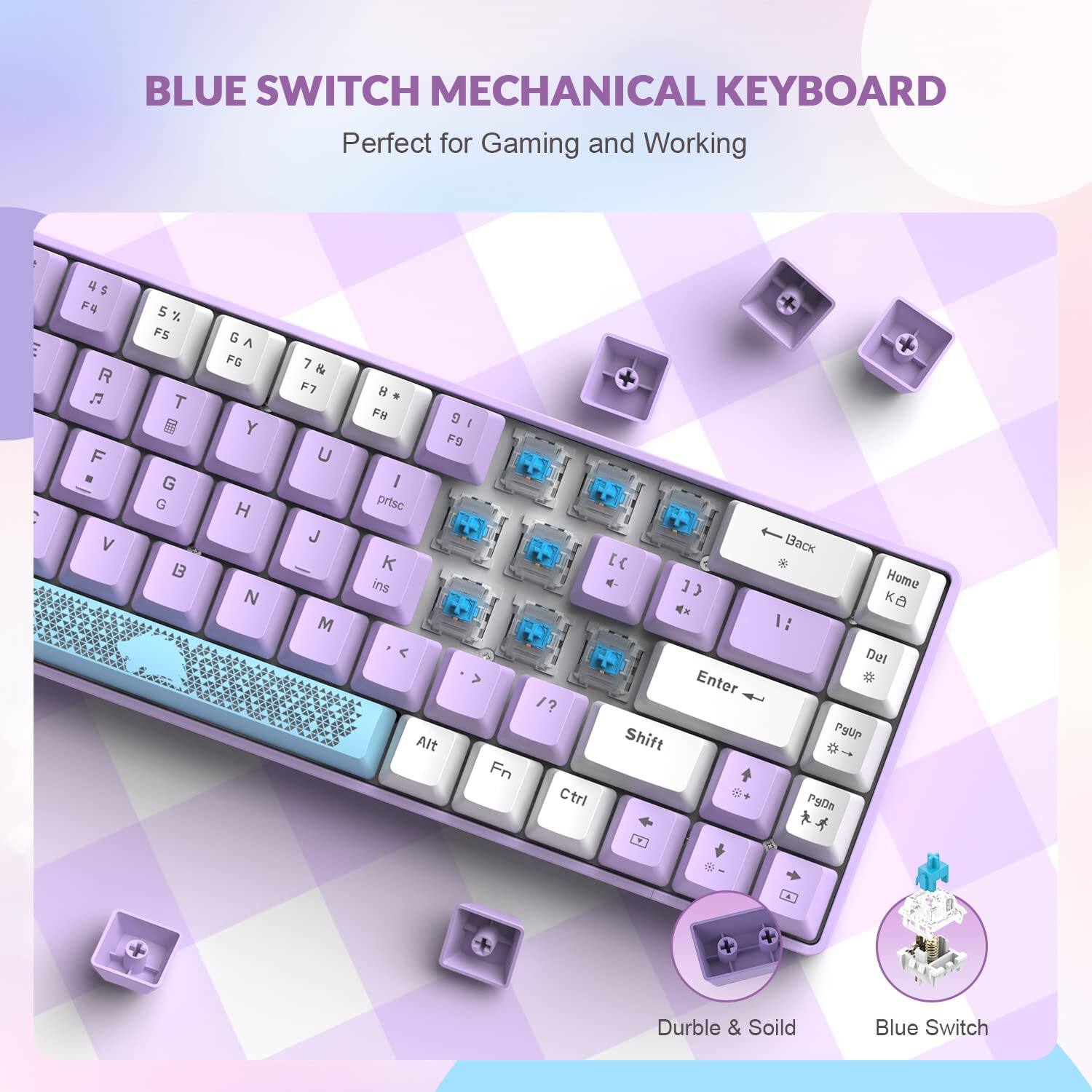 BLUE SWITCH MECHANICAL KEYBOARD  
Perfect for Gaming and Working  

4 S 5 x FS T G G B G A F6 Y H N 7 & F7 U J M H . FB 9 I F9 I prtsc K ins Alt Fn /? Ctrl [C 1) Enter Shift R Back Home A K 1: Del * PgUp Peln x Durble & Soild Blue Switch  

4 S 5 x FS T G G B G A F6 Y H N 7 & F7 U J M H . FB 9 I F9 I prtsc K ins Alt Fn /? Ctrl [C 1) Enter Shift R Back Home A K 1: Del * PgUp Peln x Durble & Soild Blue Switch