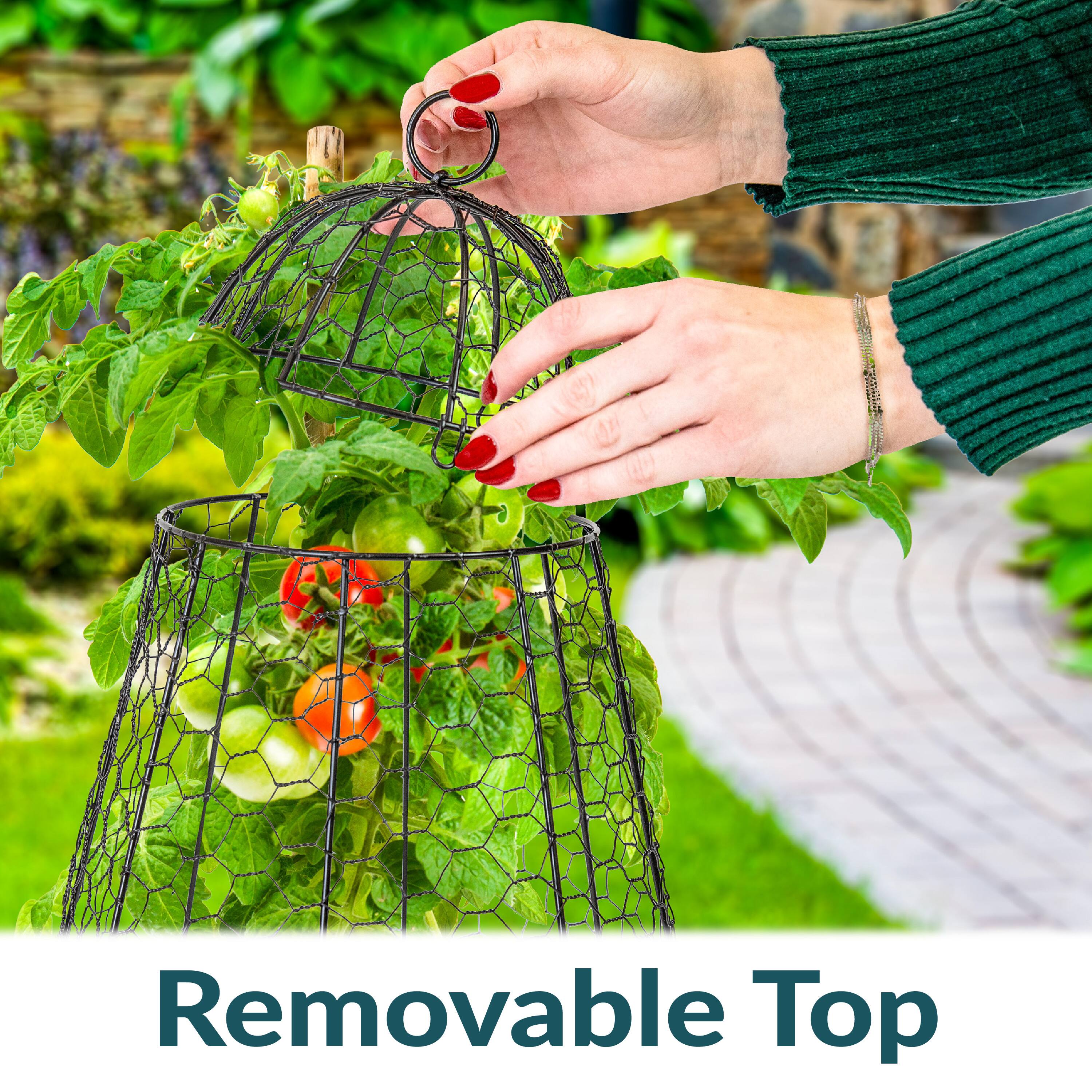 Removable Top