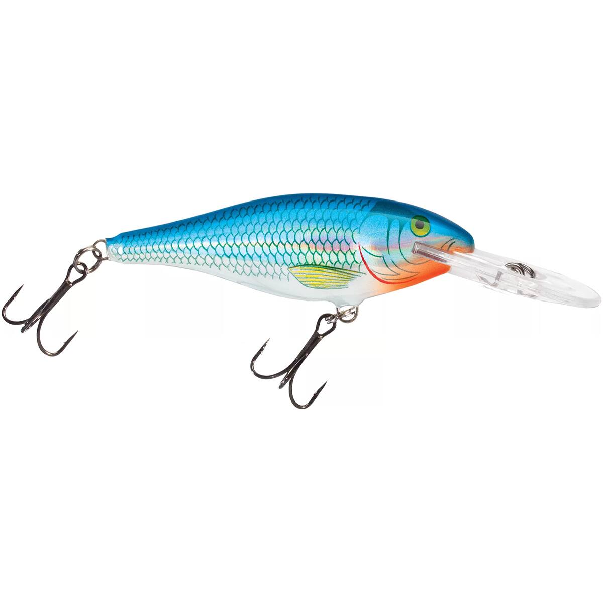 Holographic Blue Shiner