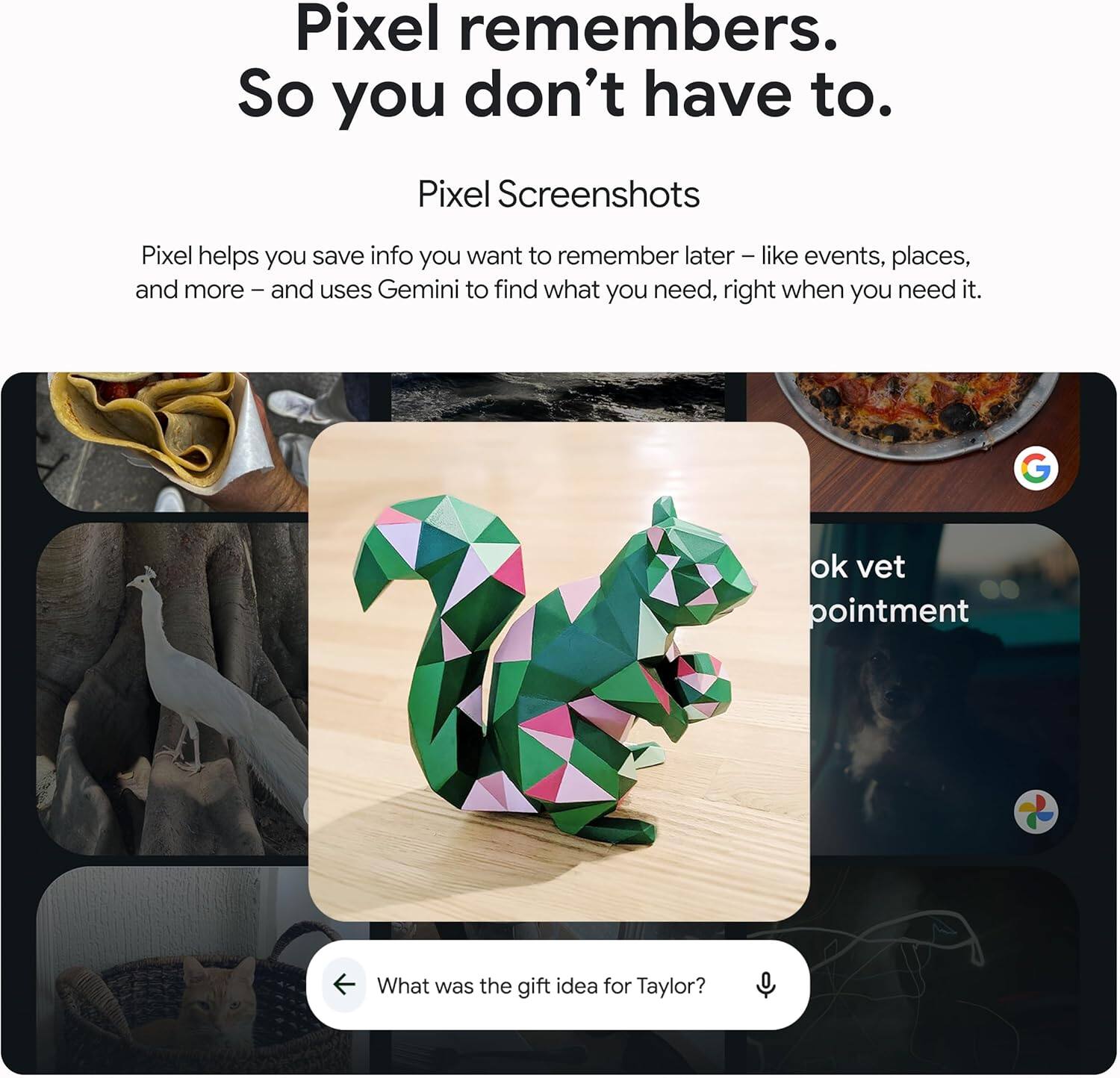Pixel remembers.  
So you don't have to.  

Pixel Screenshots  
Pixel helps you save info you want to remember later – like events, places, and more – and uses Gemini to find what you need, right when you need it.  

ok vet pointment  

What was the gift idea for Taylor?