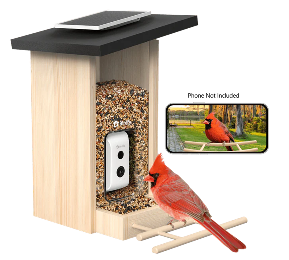 Bird feeder - A