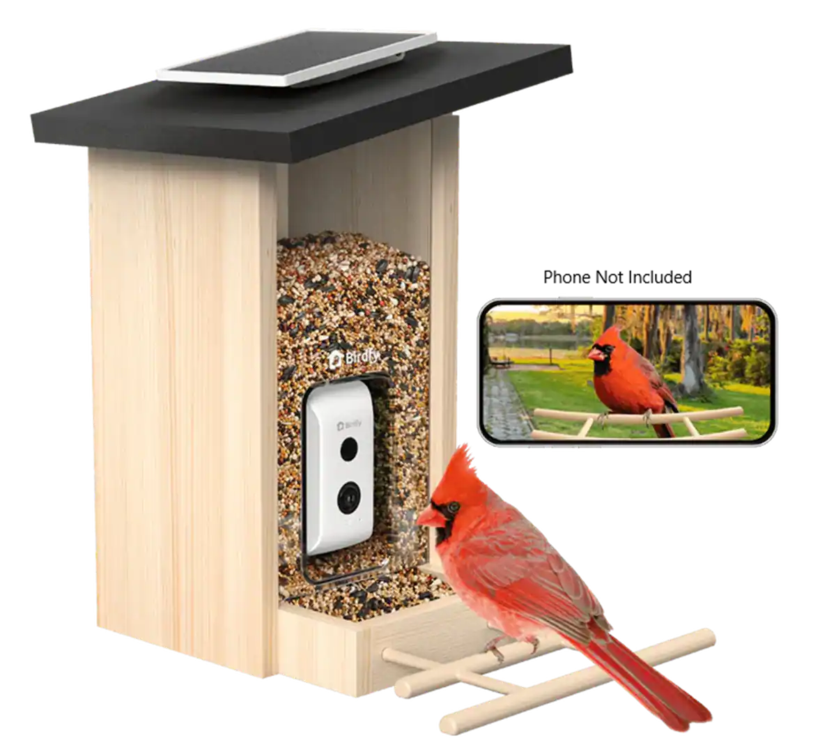 BIRDFY - Smart Bird Feeder with Camera, Bird Watching Camera with Solar Panel, AI Identify 6000+ Species - Ebony