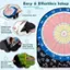 Easy & Effortless Setup:

1. Install and insert the supporting frame poles.
2. Unfold the dart.
3. Secure it on the soft ground with ground stakes.
4. Secure the dart board to the frame.

The text on the image is already grouped and correctly ordered.