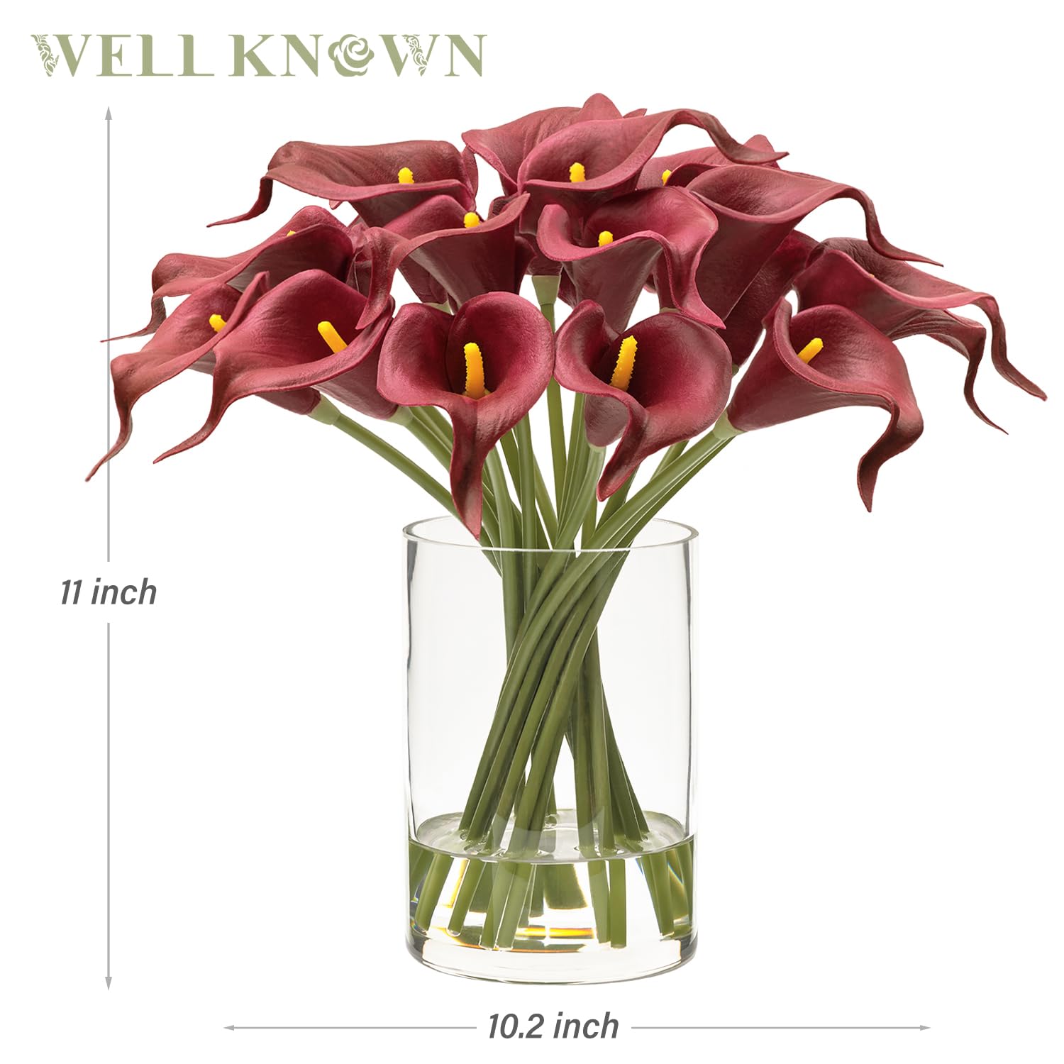 WELL KNOWN

11 inch

10.2 inch